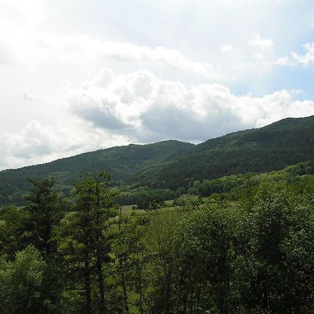 A L'Arbre Vert Wintzfelden Exteriér fotografie