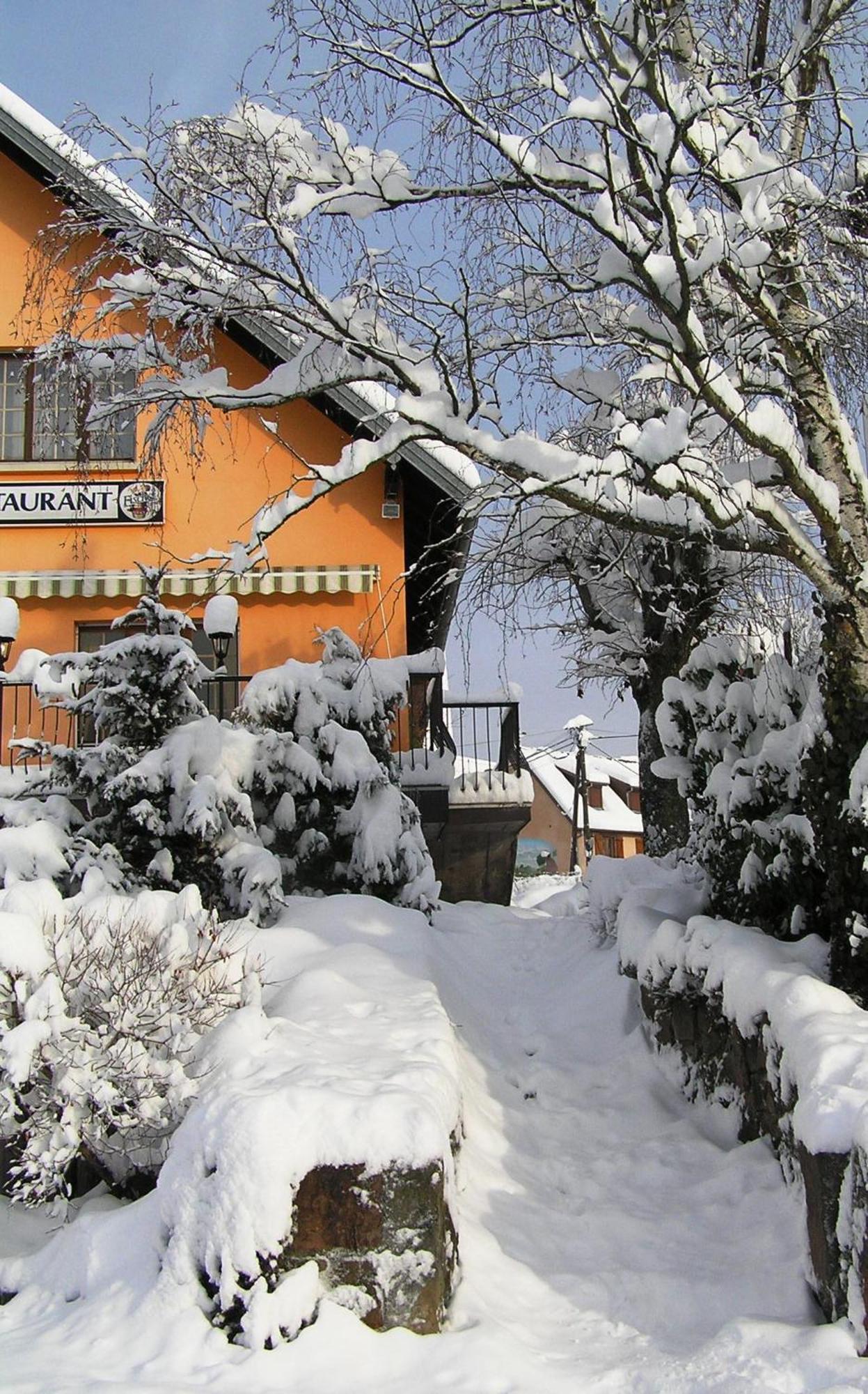 A L'Arbre Vert Wintzfelden Exteriér fotografie